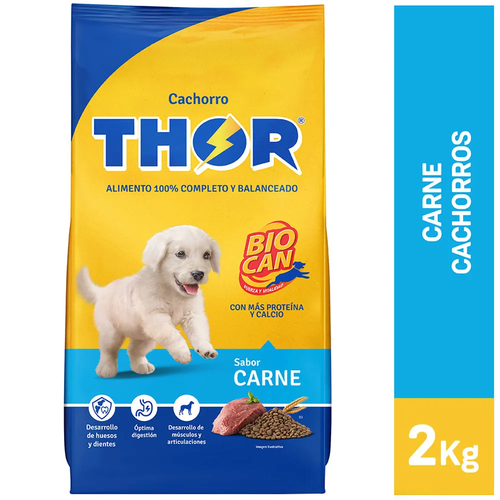 THOR CACHORRO 25 KG