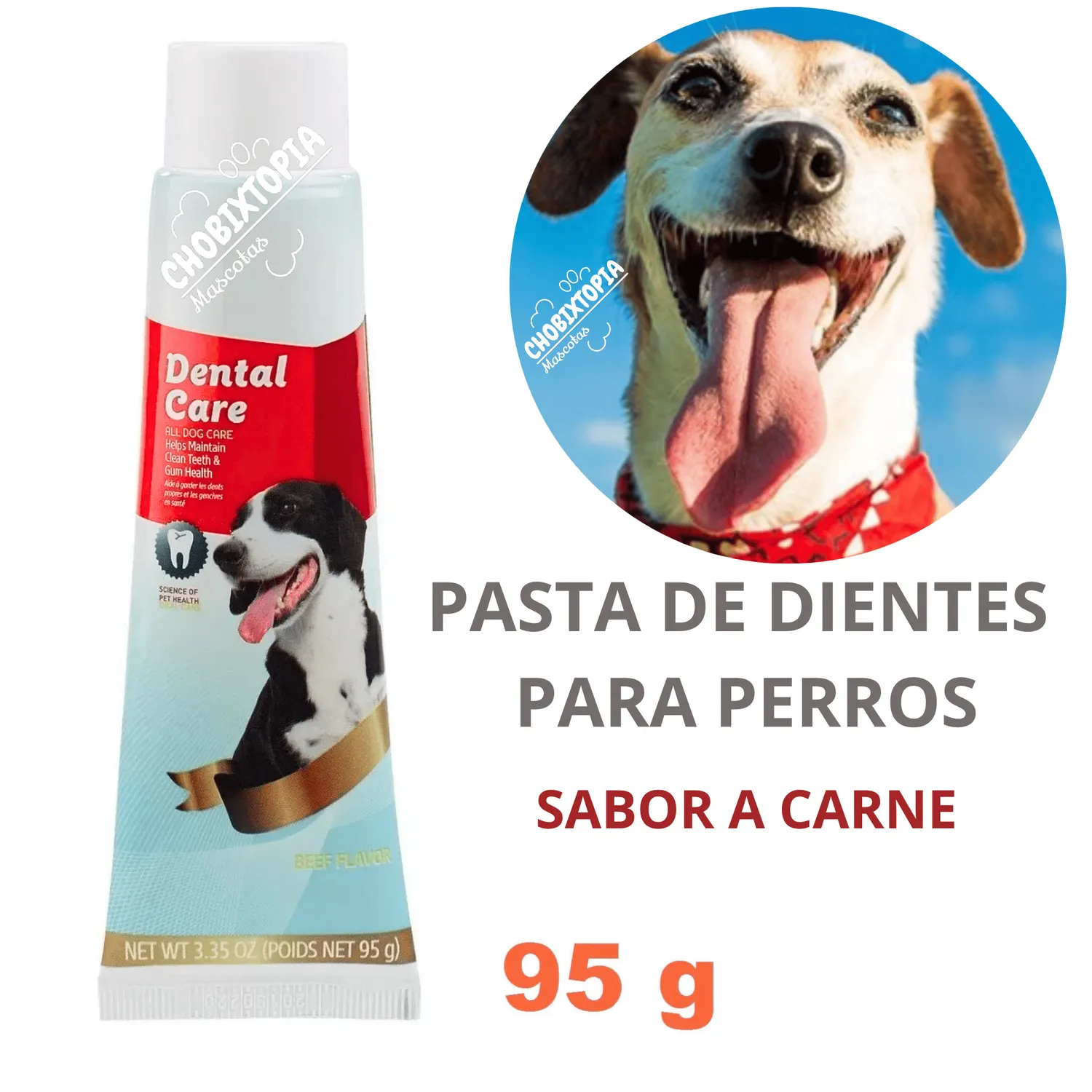 PASTA DENTAL