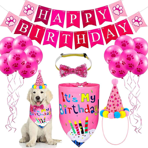 KIT CUMPLEAÑERO PARA MASCOTA