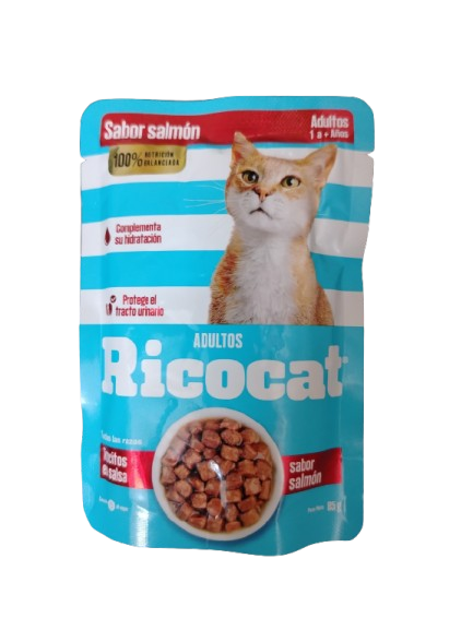 RICOCAT PATE SACHET SB SALMÓN ADULTOS