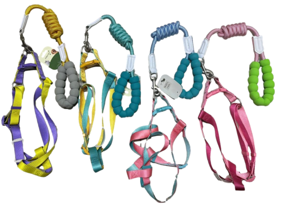ARNES IMPORTADO T-L COLORES PA302-L
