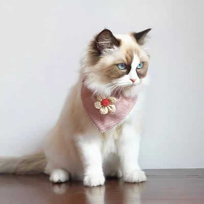 BANDALA FLOR