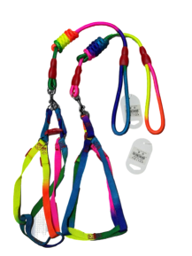 ARNES MULTICOLORES T-M REF:50069