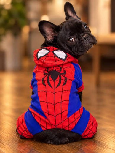 DISFRAZ DE halloween DE SPIDERMAN