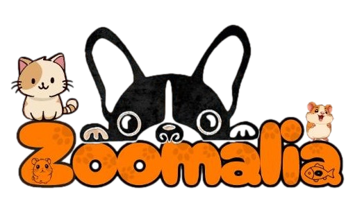 ZOOMALIA